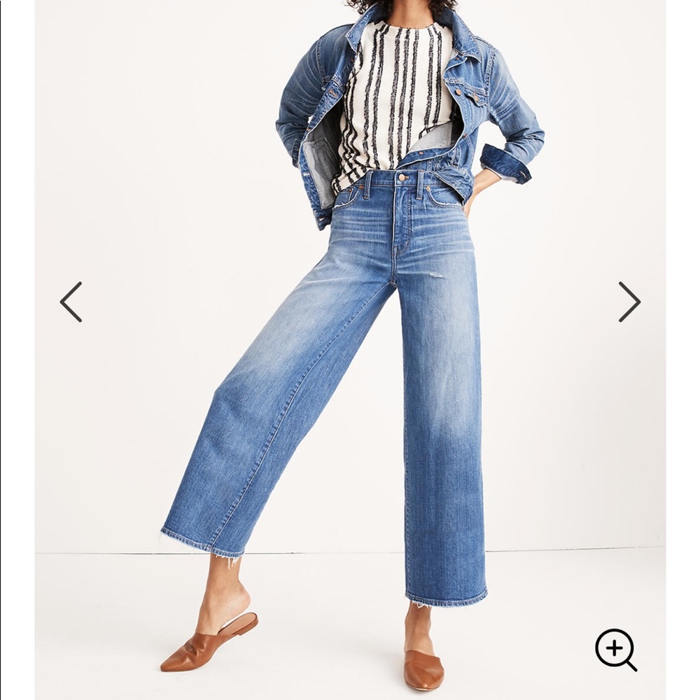 Madewell Wide-Leg Crop Jeans in Finney (27)